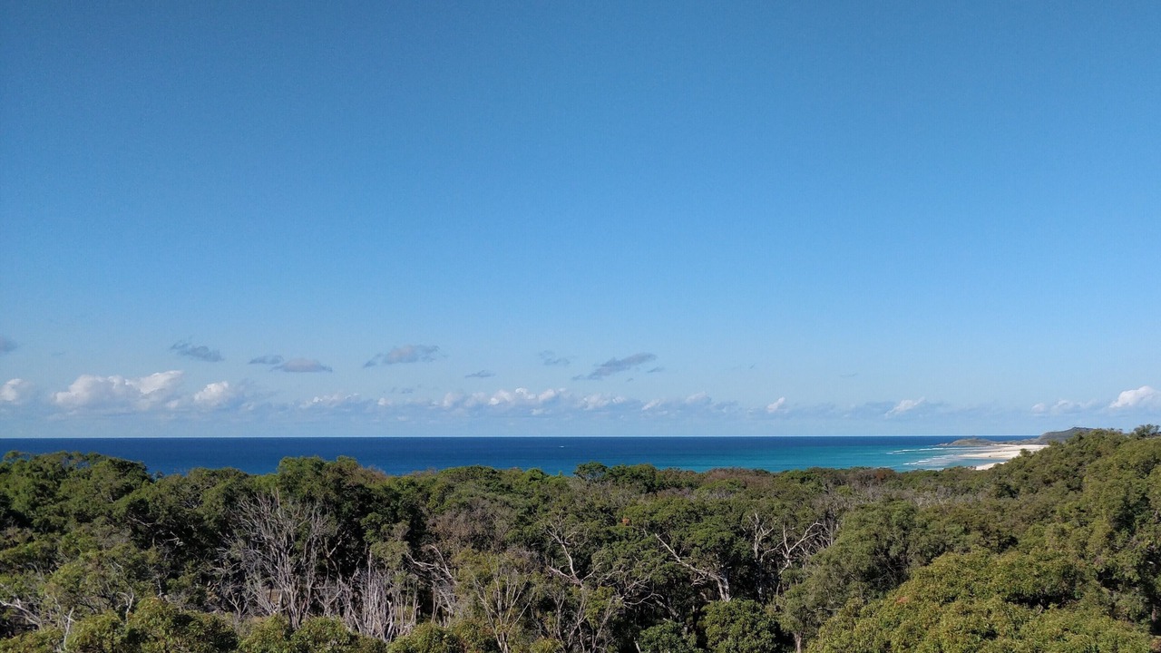 Photo of Others in Orchid Beach