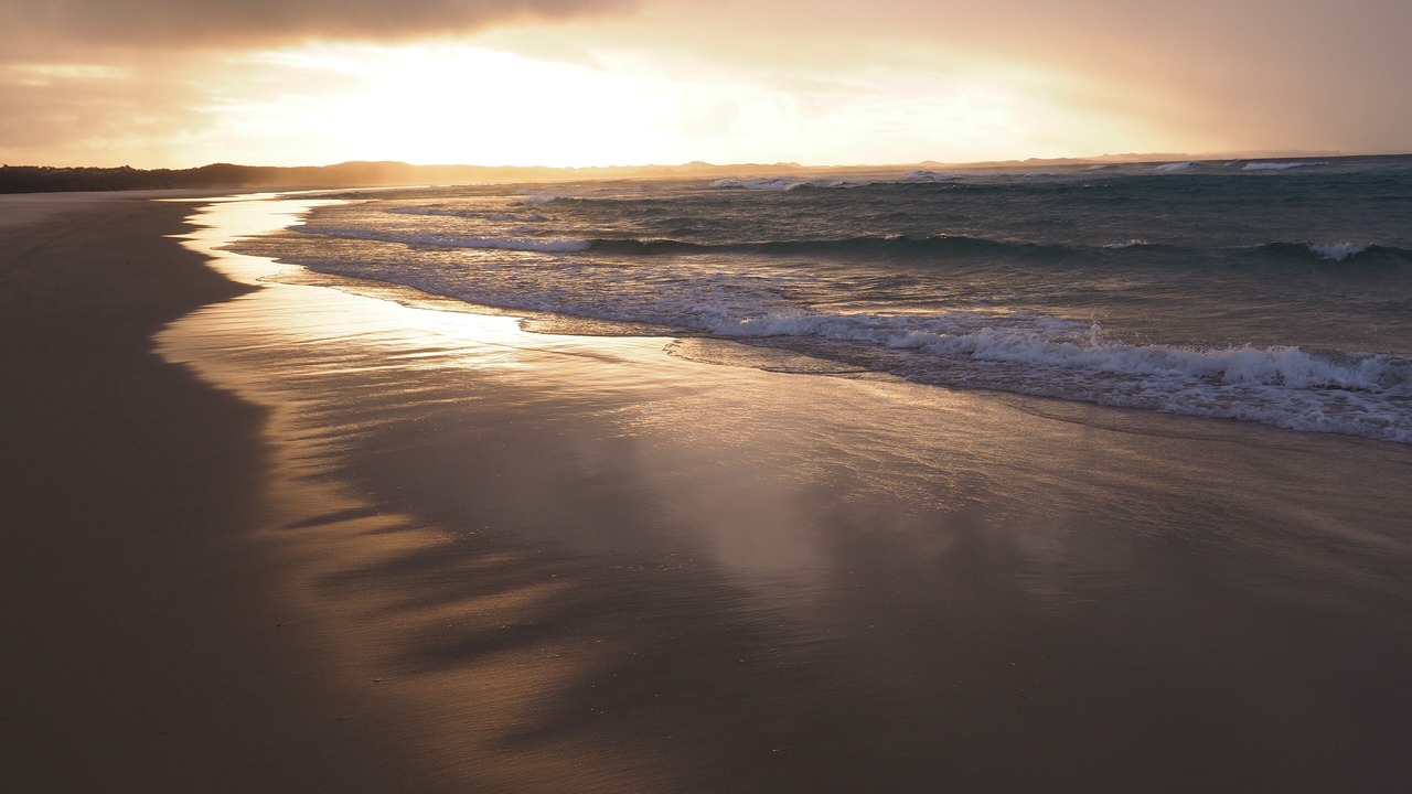 Photo of Others in Orchid Beach