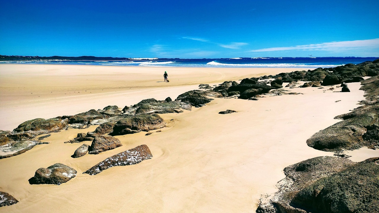 Photo of Others in Orchid Beach