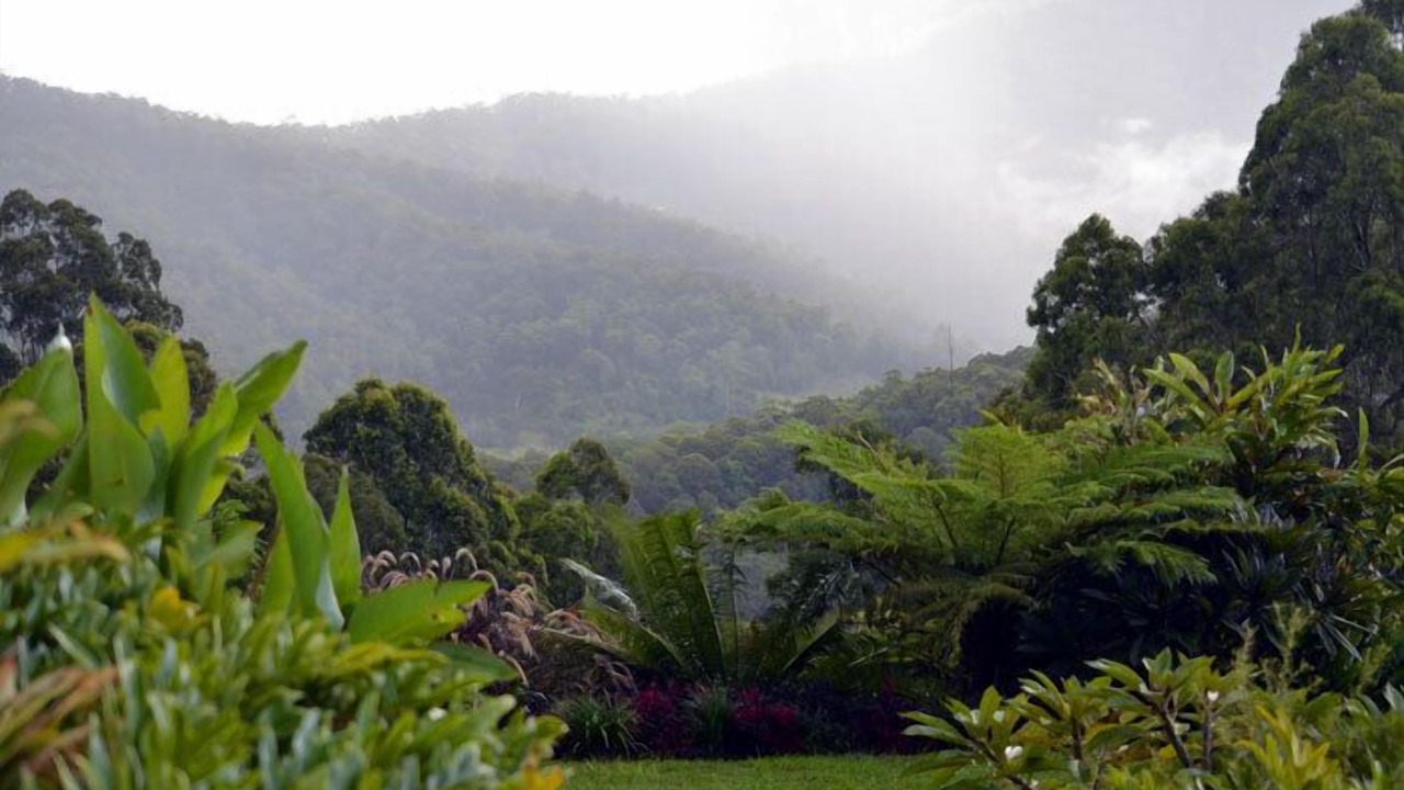 Photo of Outdoor in Wongawallan