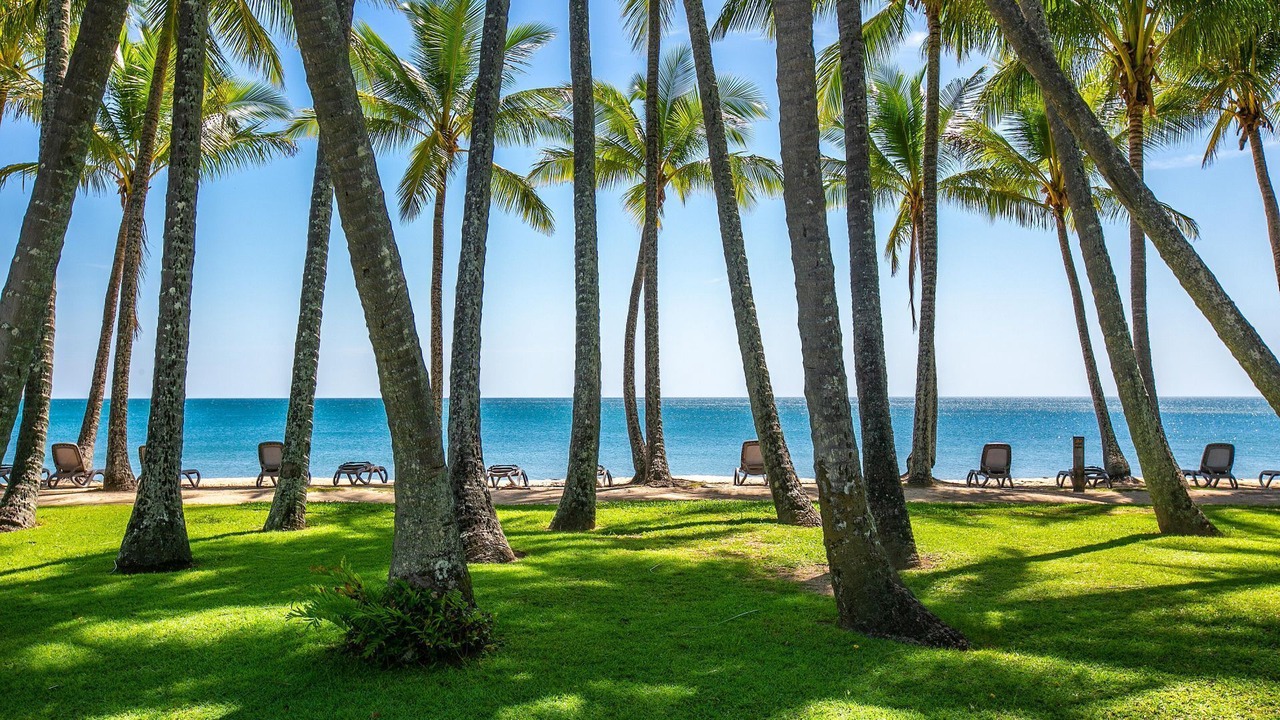 Photo of Outdoor in Palm Cove