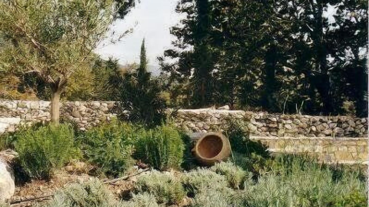 Photo of Outdoor in Dorida
