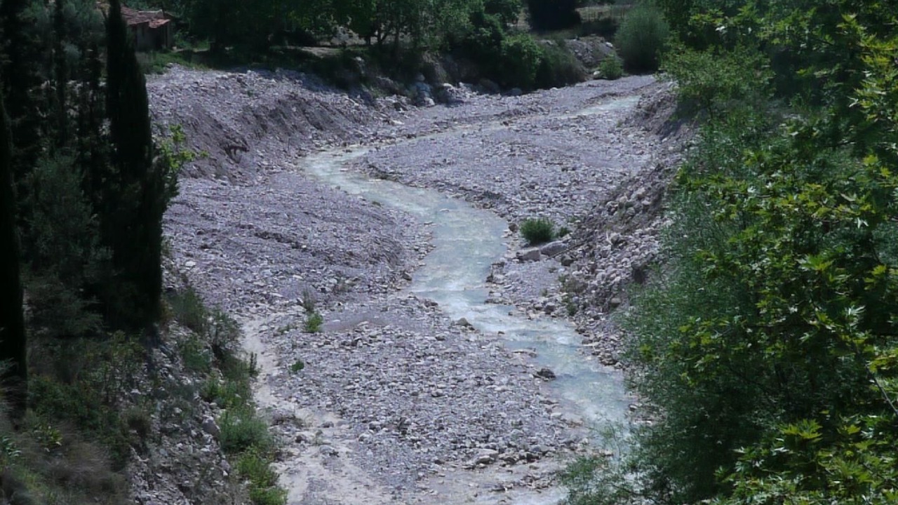Photo of Others in Dorida