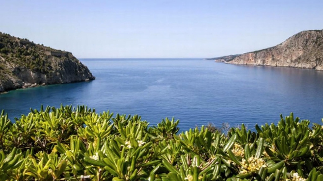 Photo of Others in Frourion