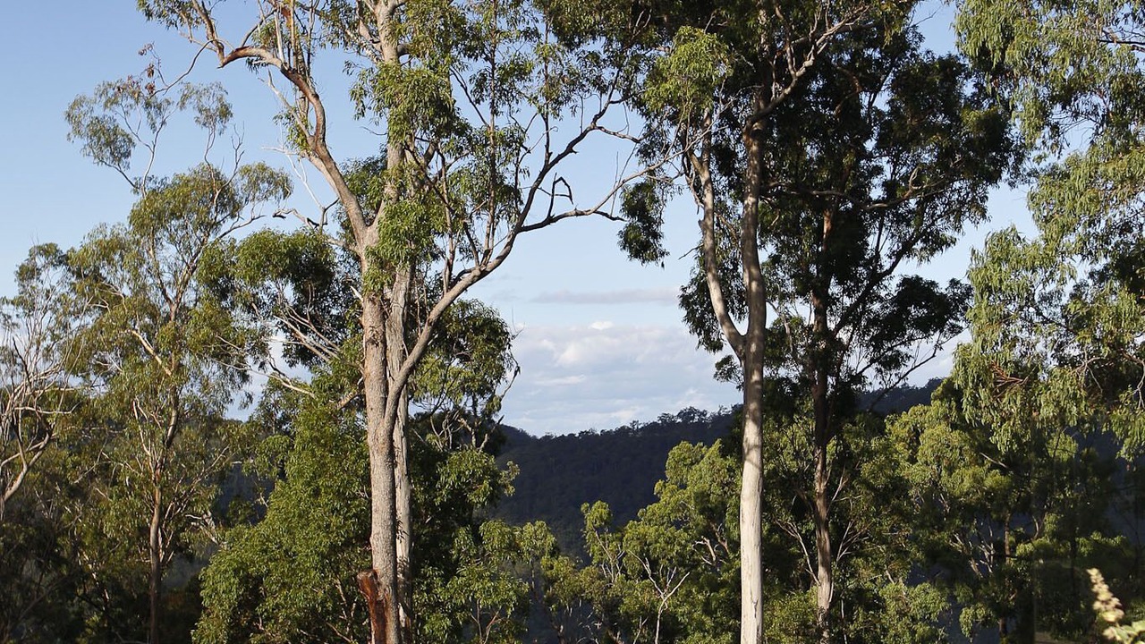 Photo of Outdoor in Austinville