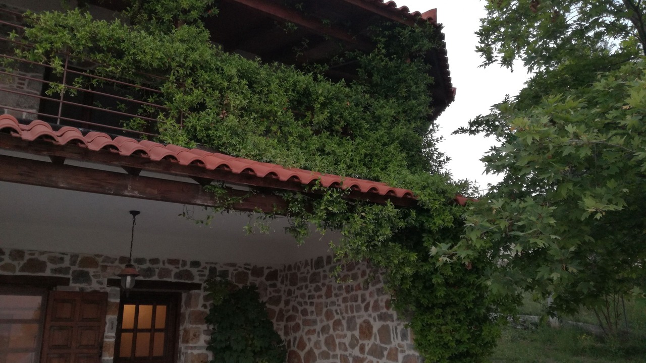 Photo of Outdoor in Dirfys-Messapia