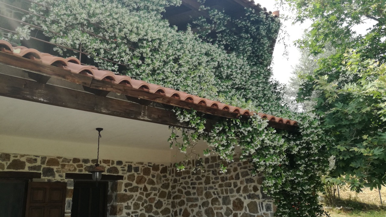 Photo of Outdoor in Dirfys-Messapia