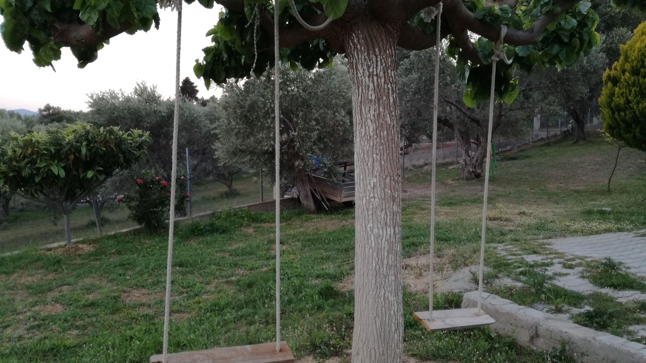 Photo of Outdoor in Dirfys-Messapia