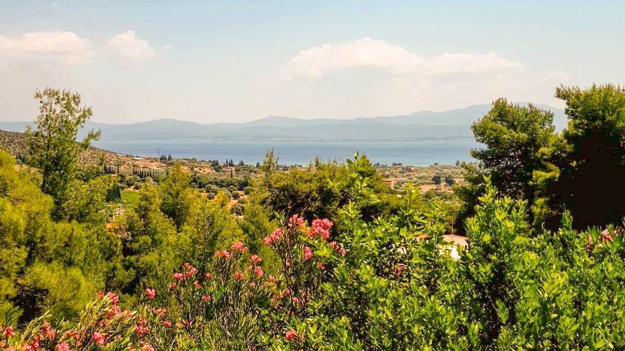 Photo of Outdoor in Eretria