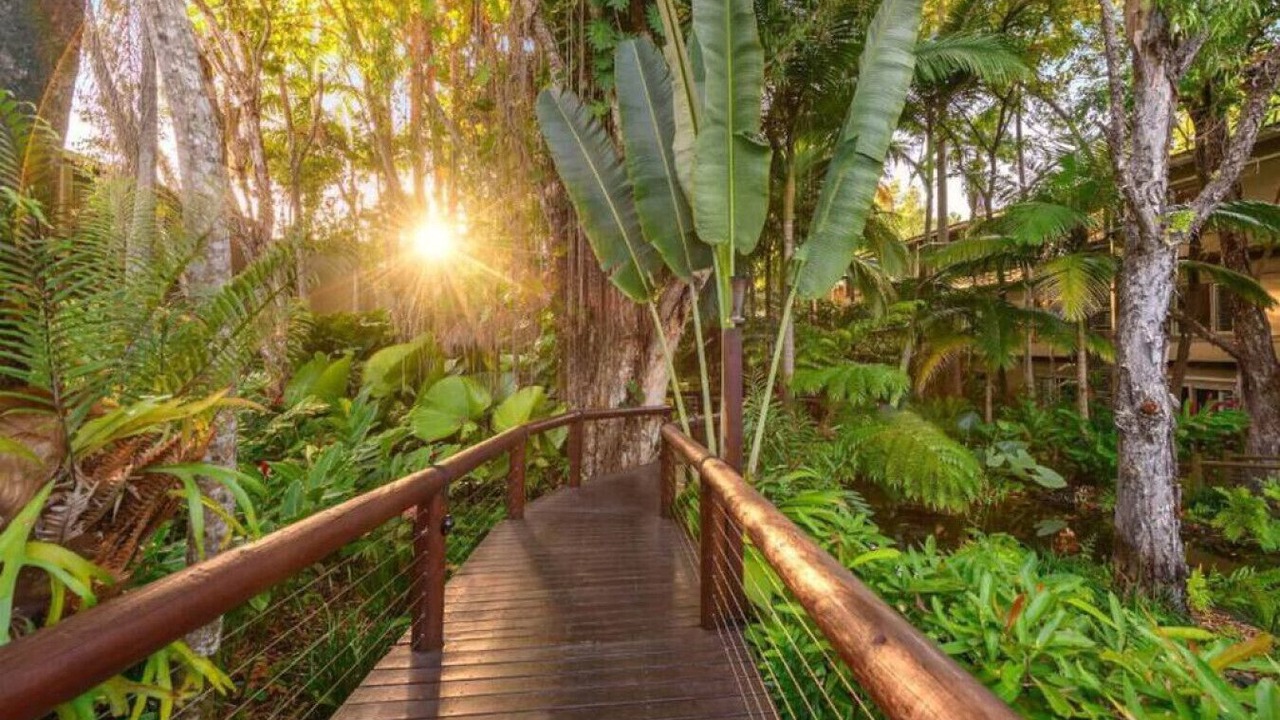 Photo of Others in Port Douglas