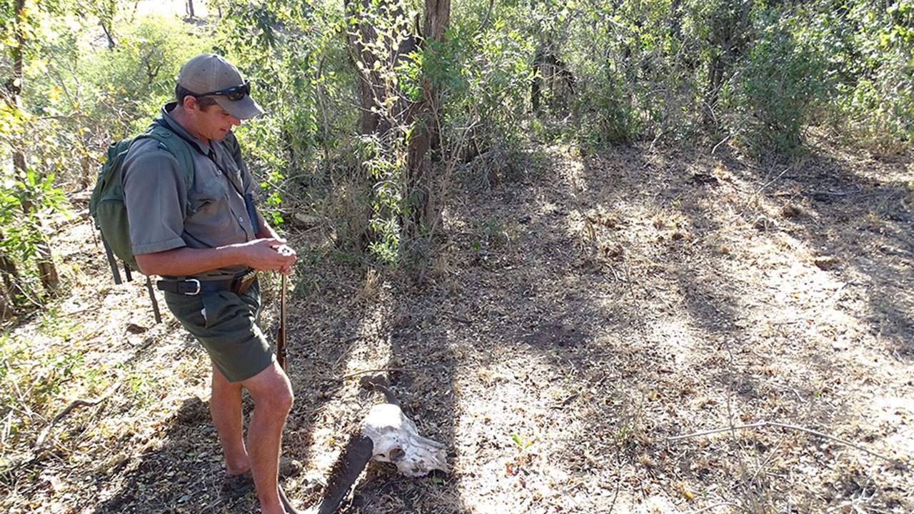 Photo of Others in Phalaborwa