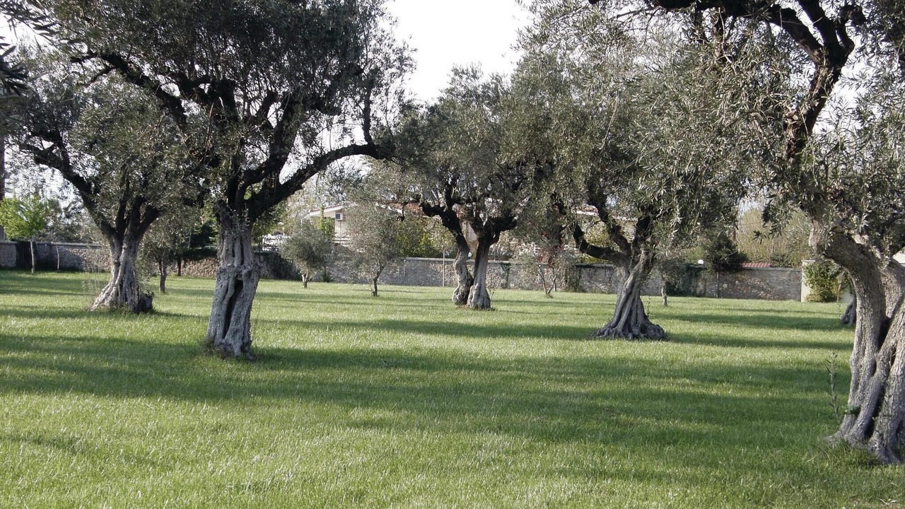 Photo of Others in Molos-Agios Konstantinos