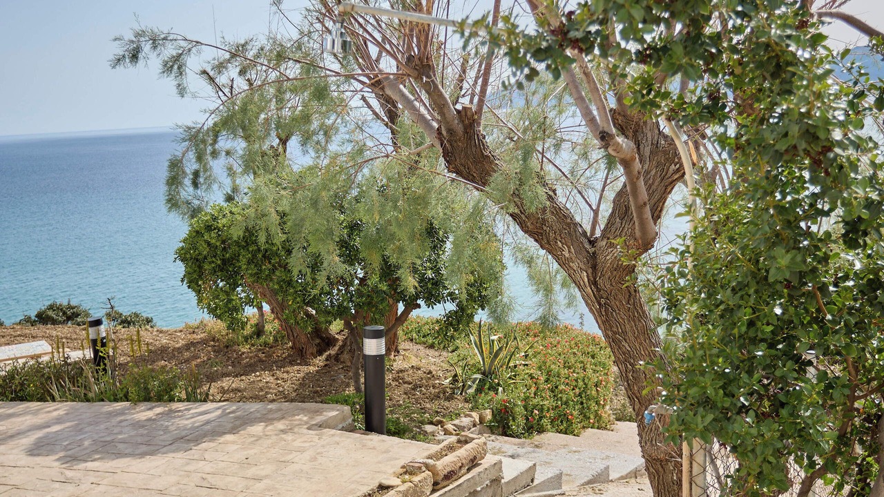Photo of Outdoor in Mastichochoria