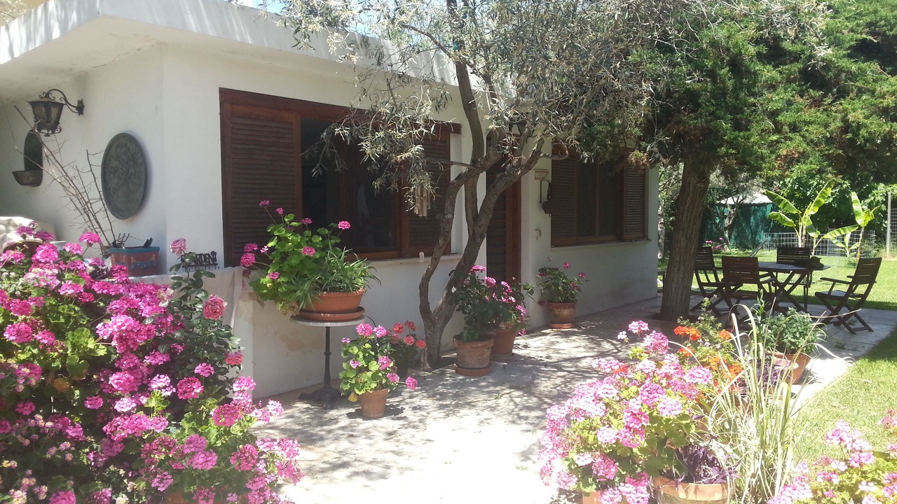 Photo of Others in Eretria