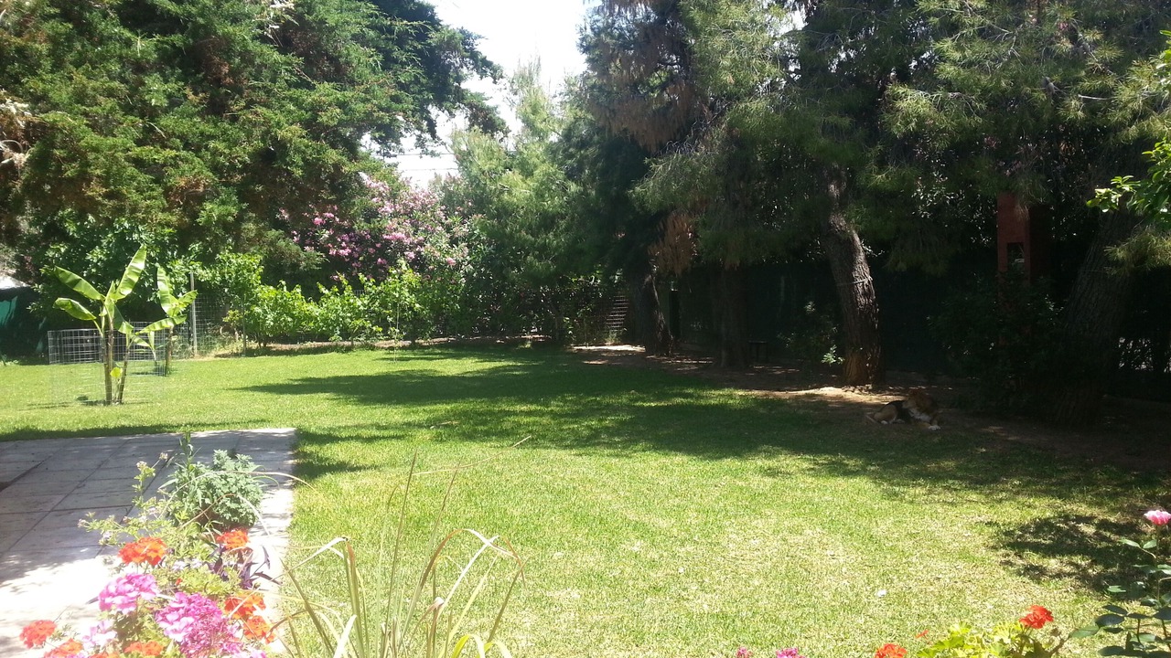 Photo of Outdoor in Eretria
