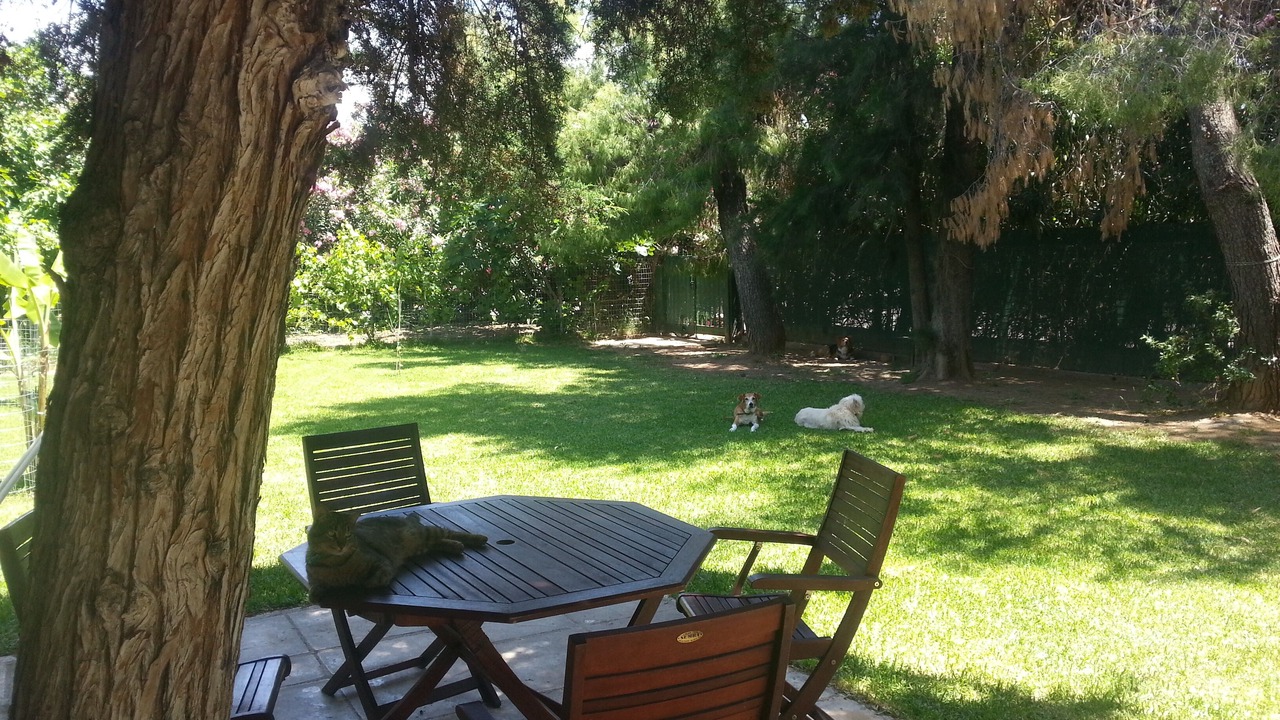 Photo of Outdoor in Eretria