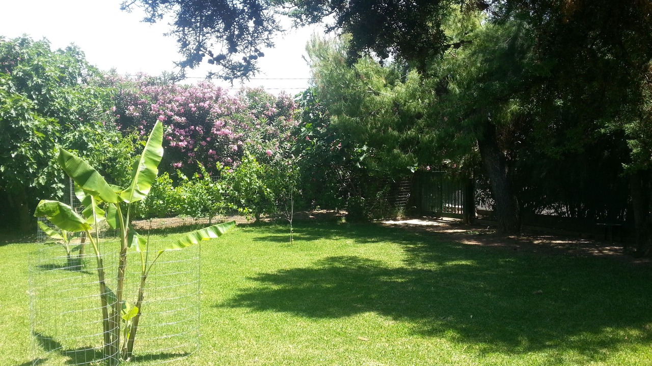 Photo of Outdoor in Eretria