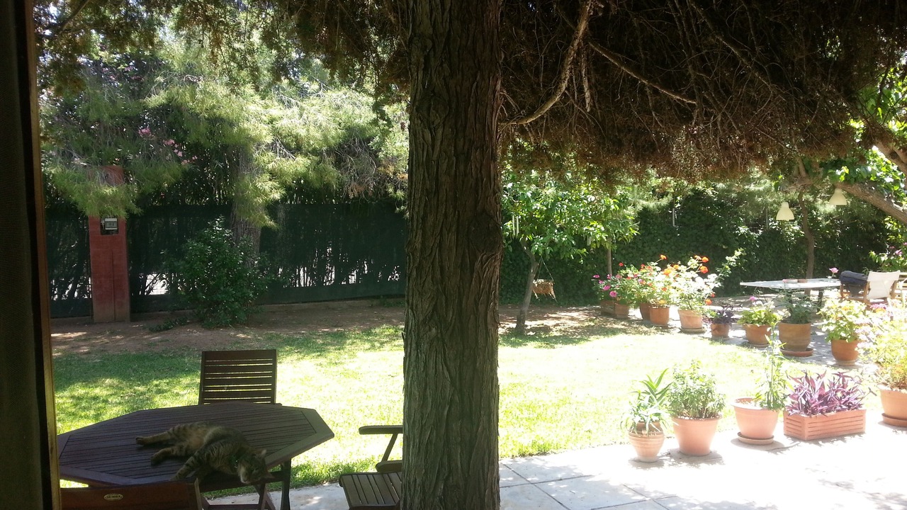 Photo of Outdoor in Eretria
