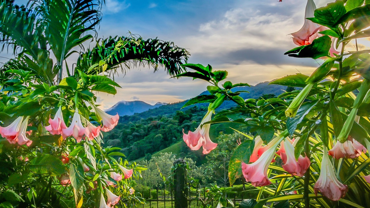Photo of Outdoor in El Millon