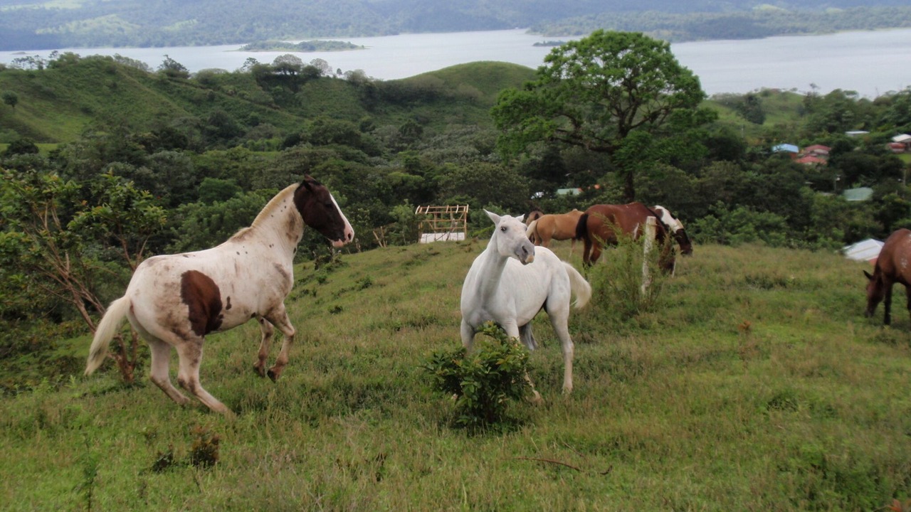 Photo of Others in El Millon