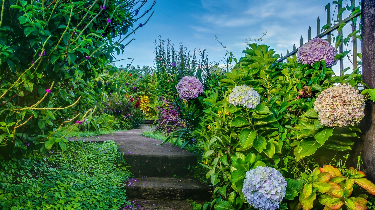 Photo of Outdoor in El Millon