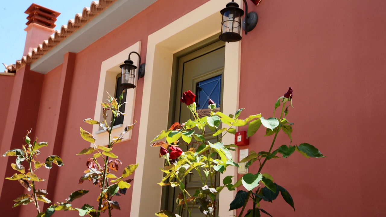 Photo of Outdoor in Livadi