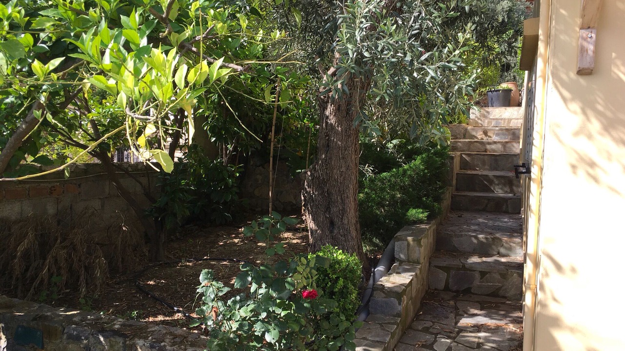 Photo of Outdoor in Molos-Agios Konstantinos