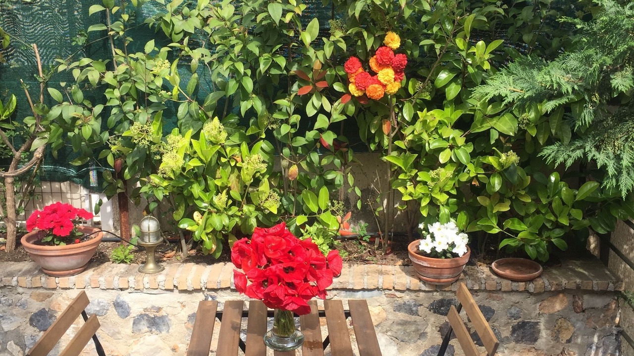 Photo of Others in Molos-Agios Konstantinos