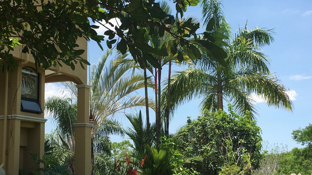 Photo of Outdoor in Esparza
