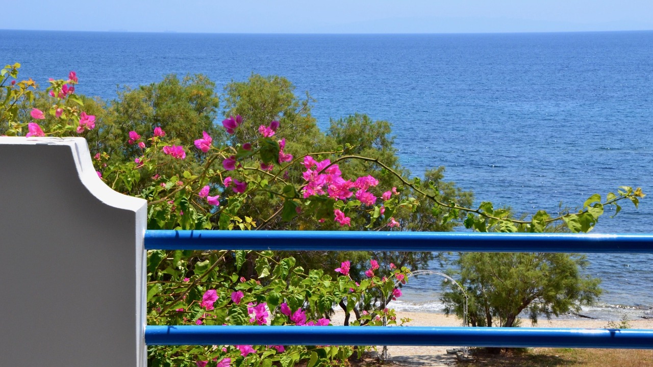 Photo of Outdoor in Karystos