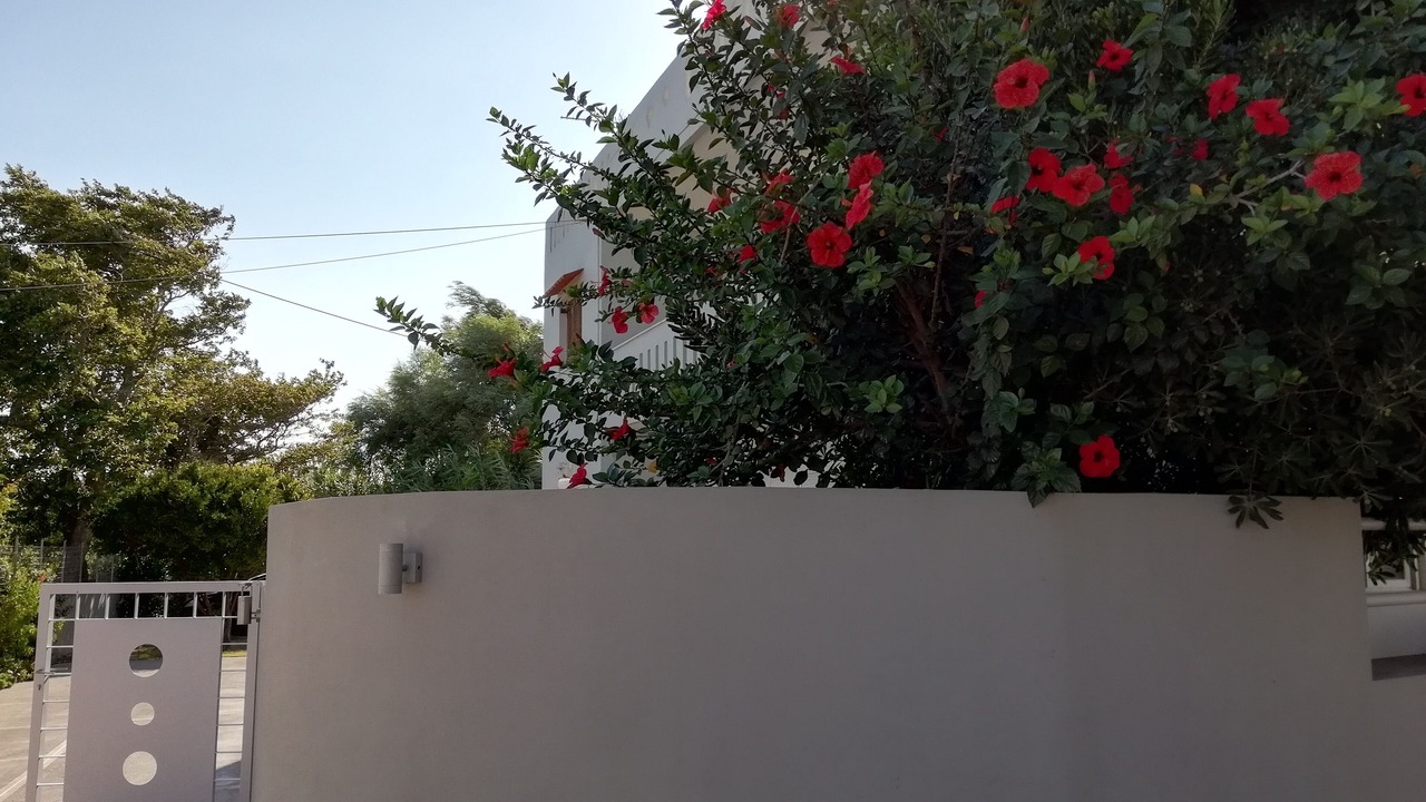 Photo of Outdoor in Agios Vasileios
