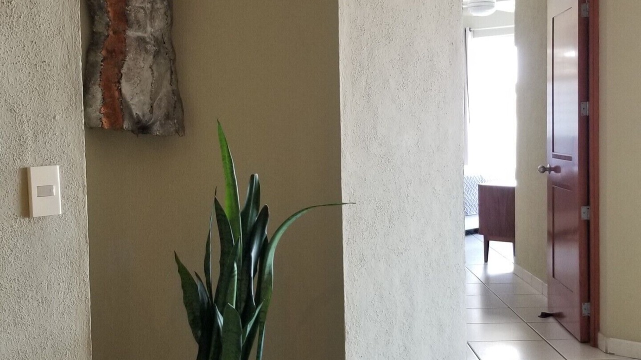 Photo of Others in Romantic Zone