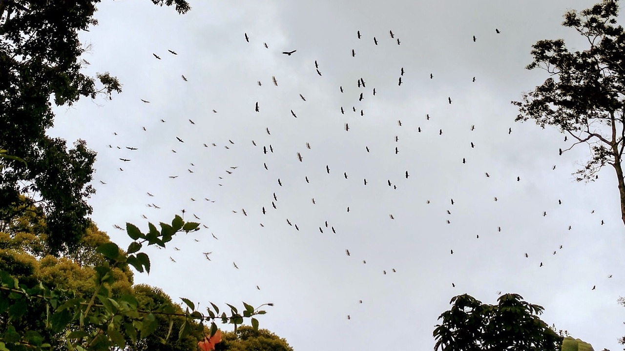 Photo of Others in Chiguata