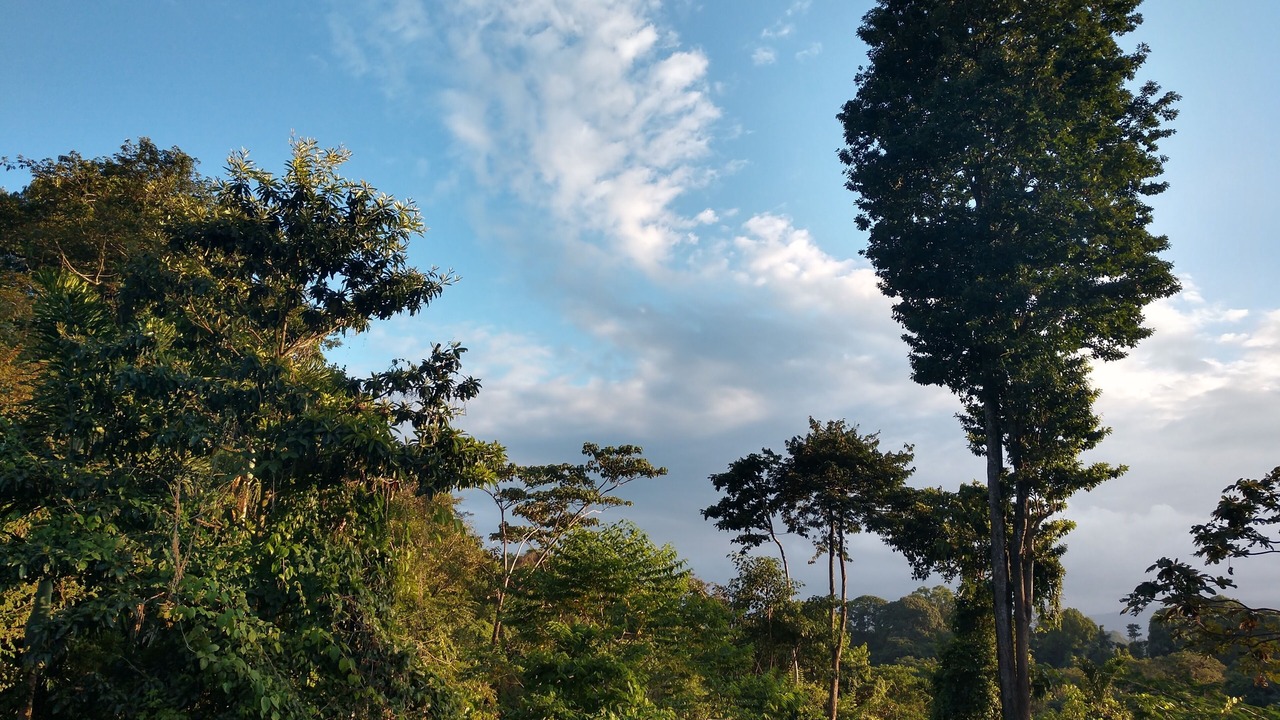 Photo of Others in Chiguata