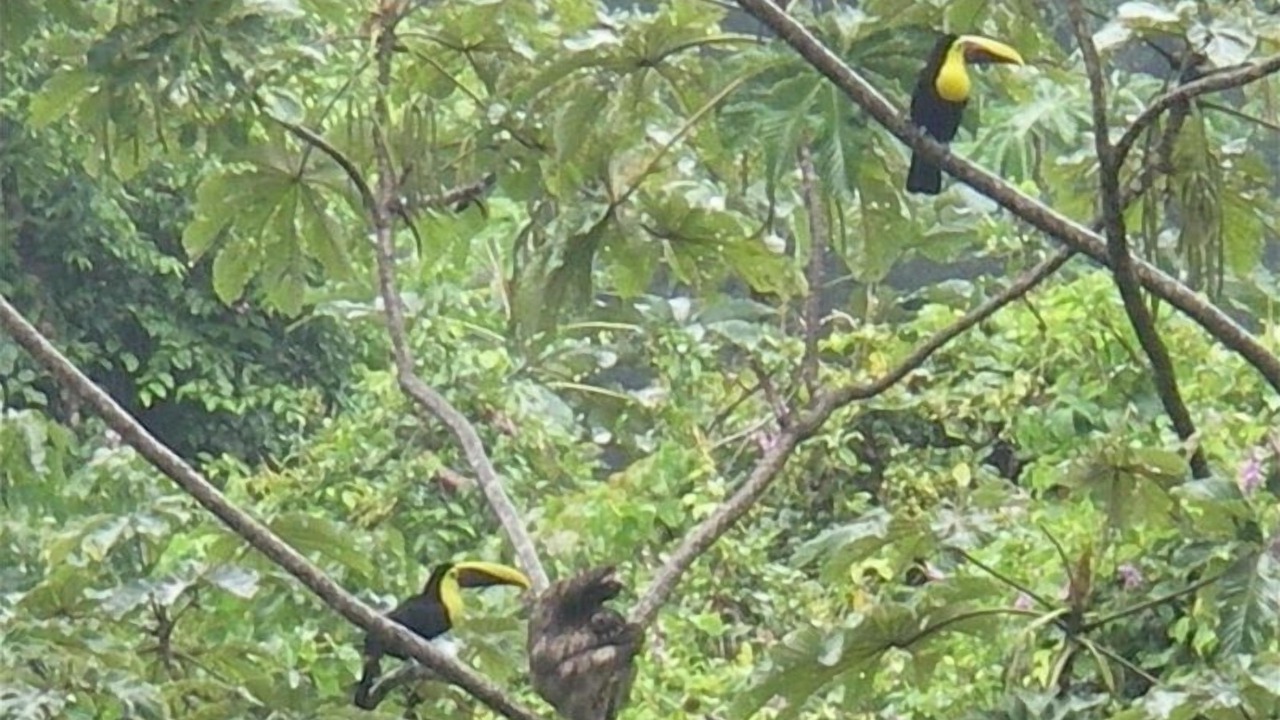 Photo of Others in Chiguata