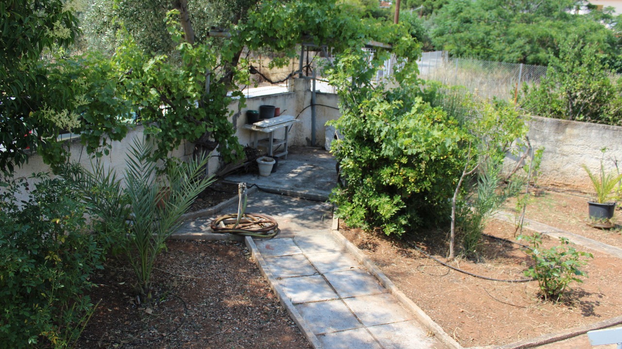 Photo of Outdoor in Anavyssos