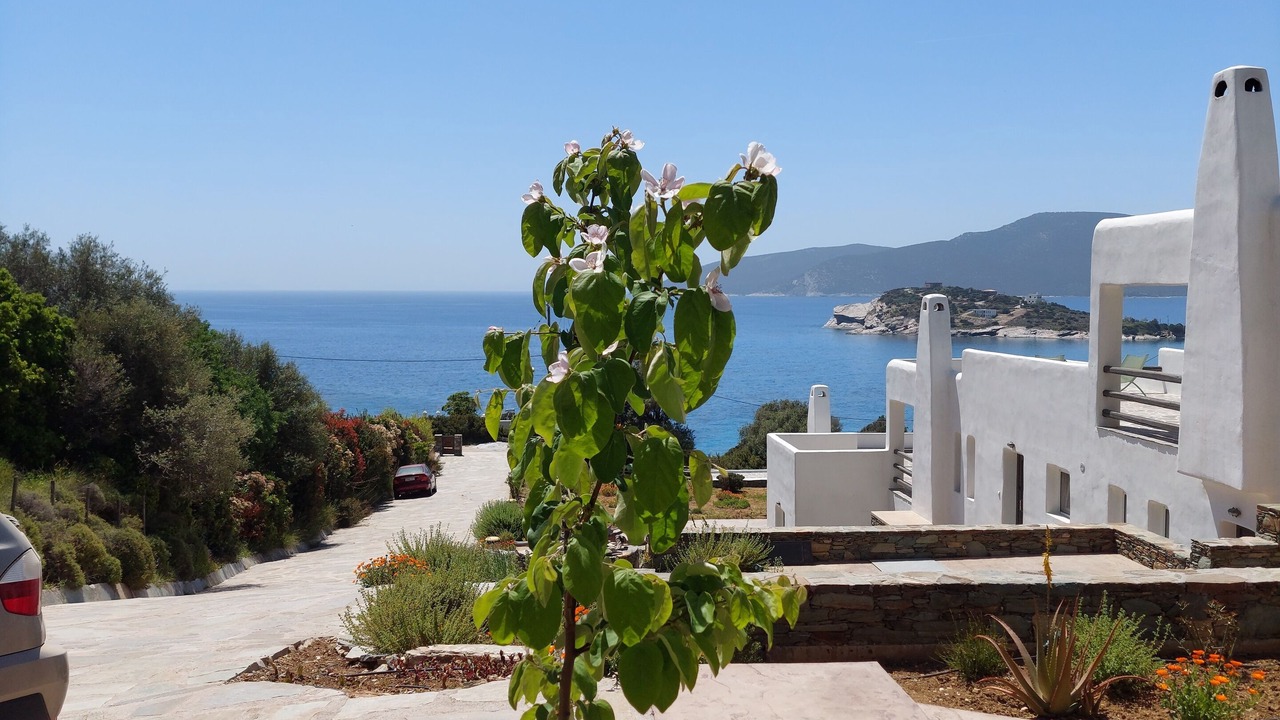 Photo of Outdoor in Karystos