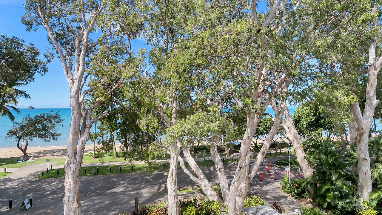 Photo of Outdoor in Palm Cove
