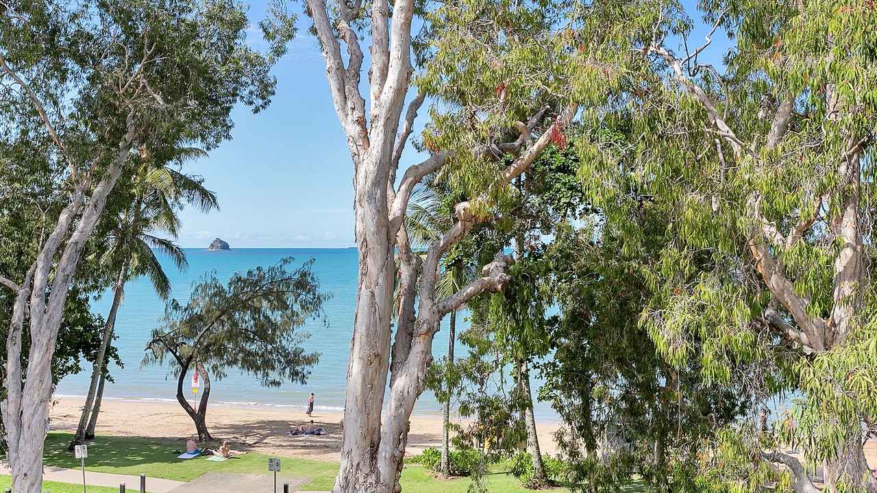 Photo of Others in Palm Cove