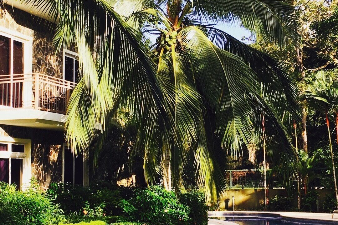 Photo of Outdoor in Herradura