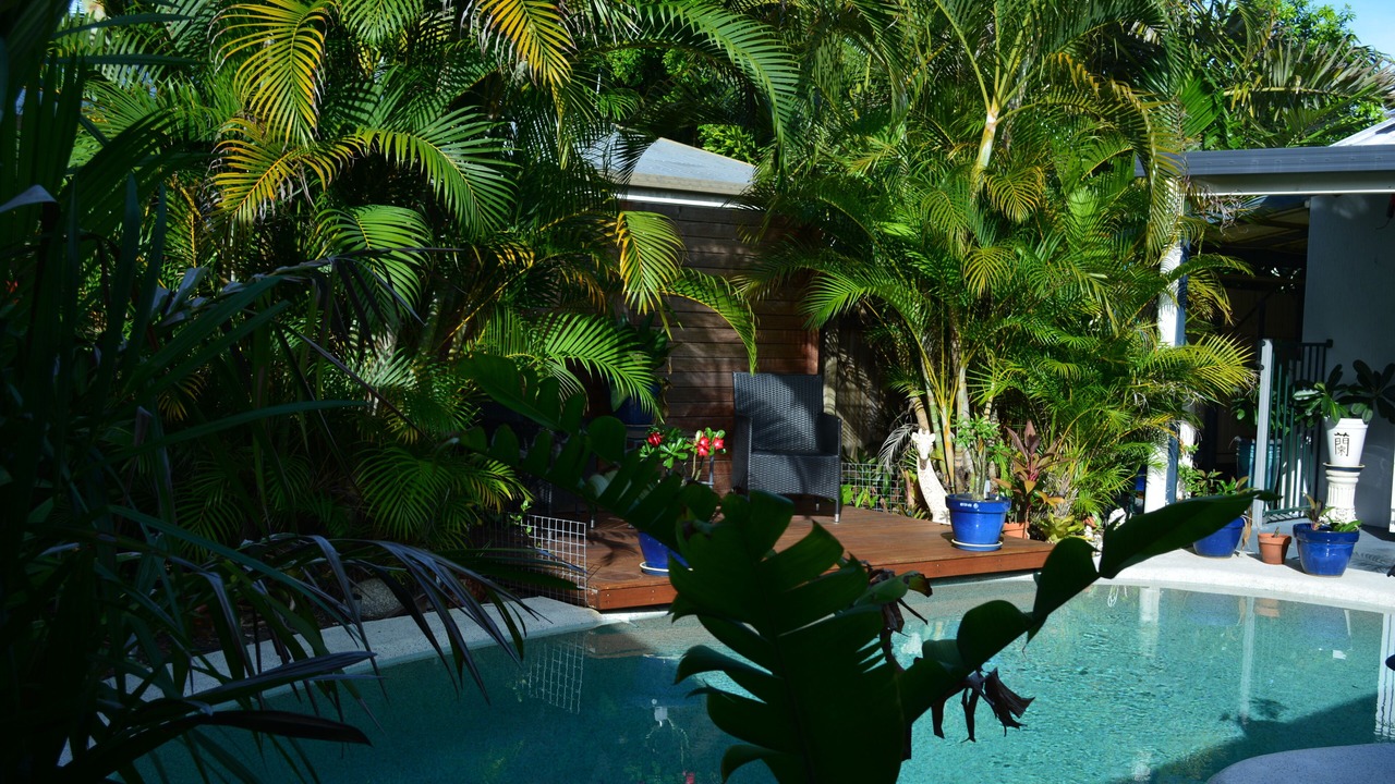 Photo of Others in Port Douglas