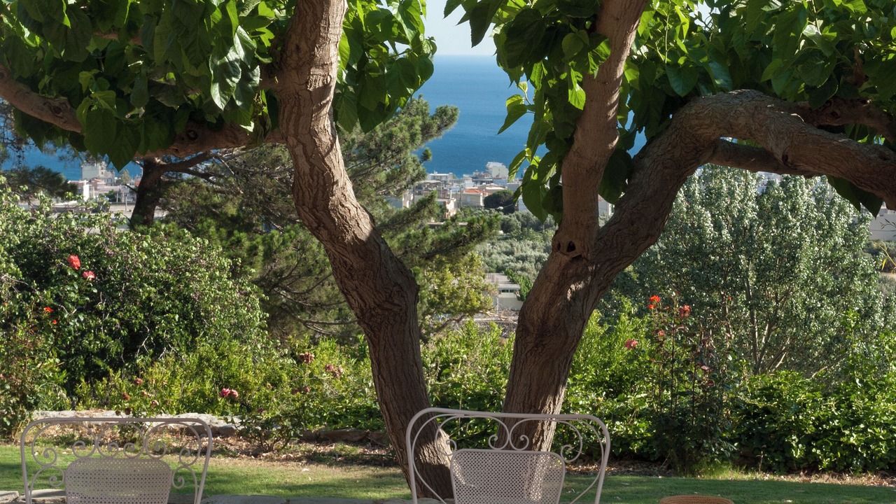 Photo of Outdoor in Grambia