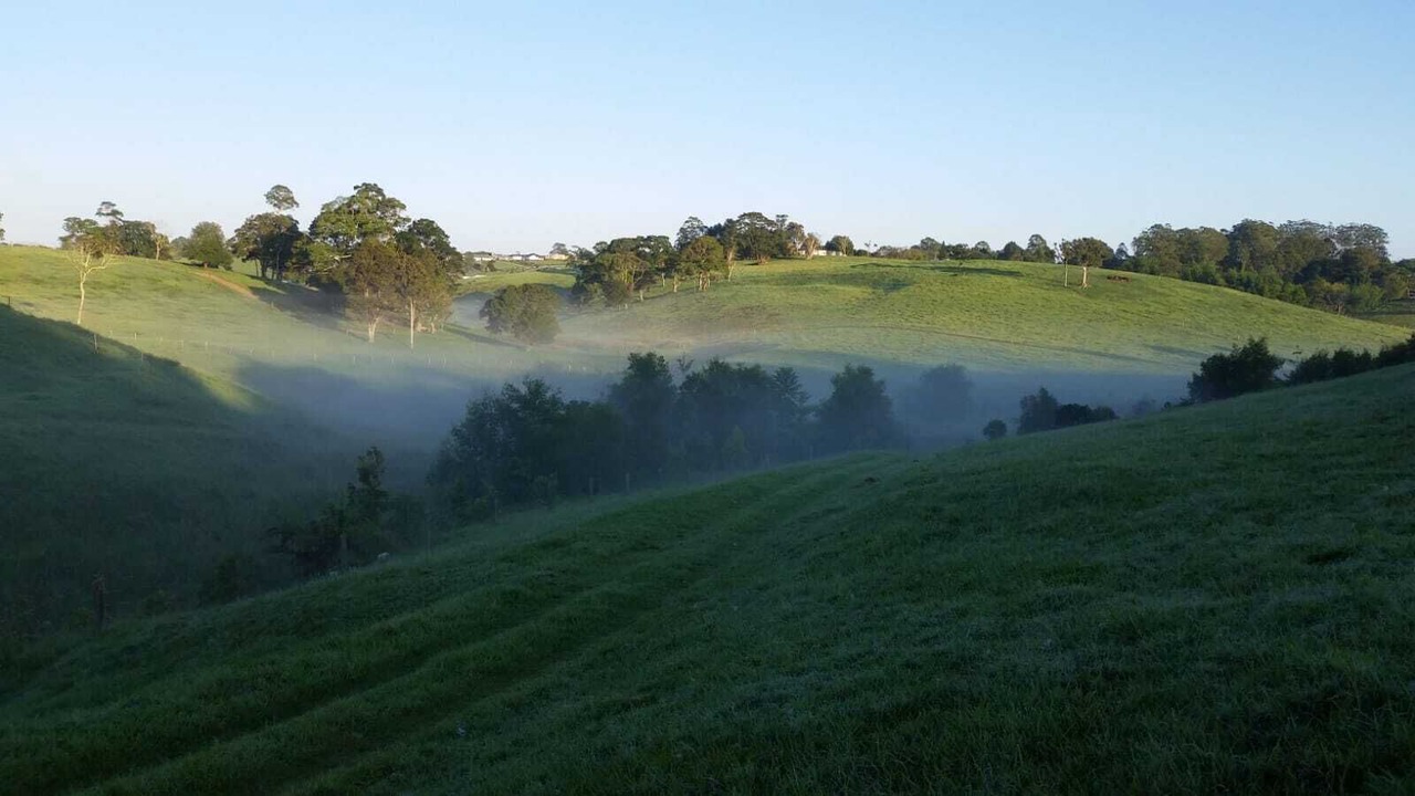 Photo of Others in Maleny