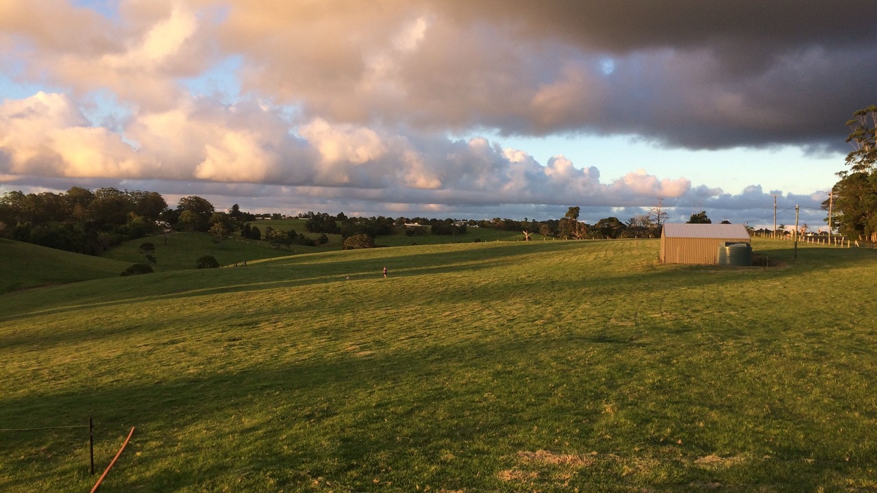 Photo of Others in Maleny