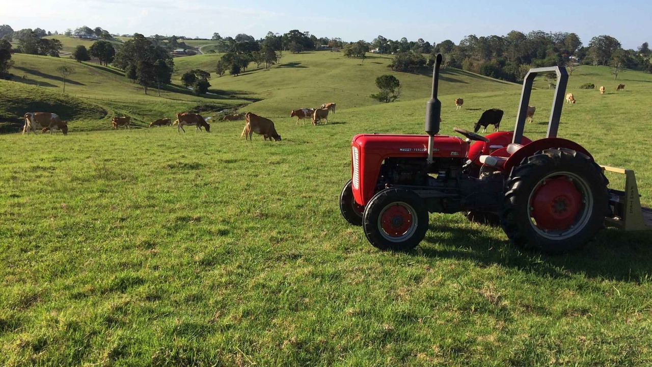 Photo of Others in Maleny