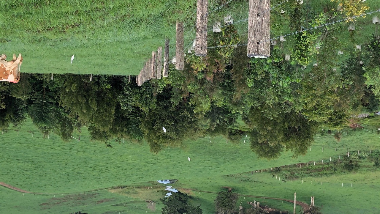 Photo of Others in Maleny