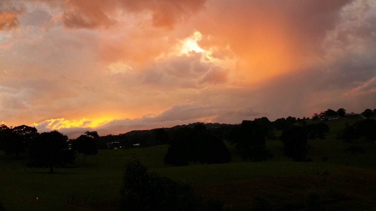 Photo of Others in Maleny