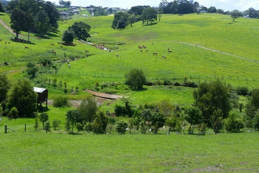 Photo of Others in Maleny