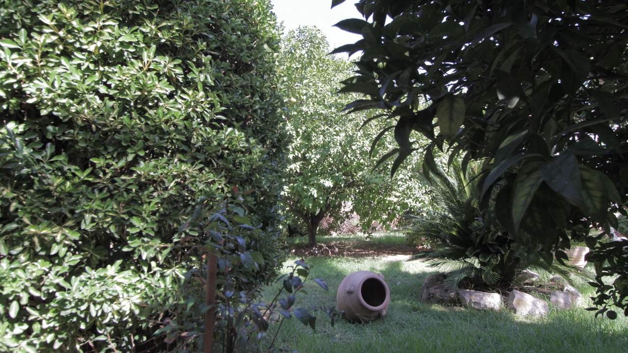 Photo of Outdoor in Spata-Artemida