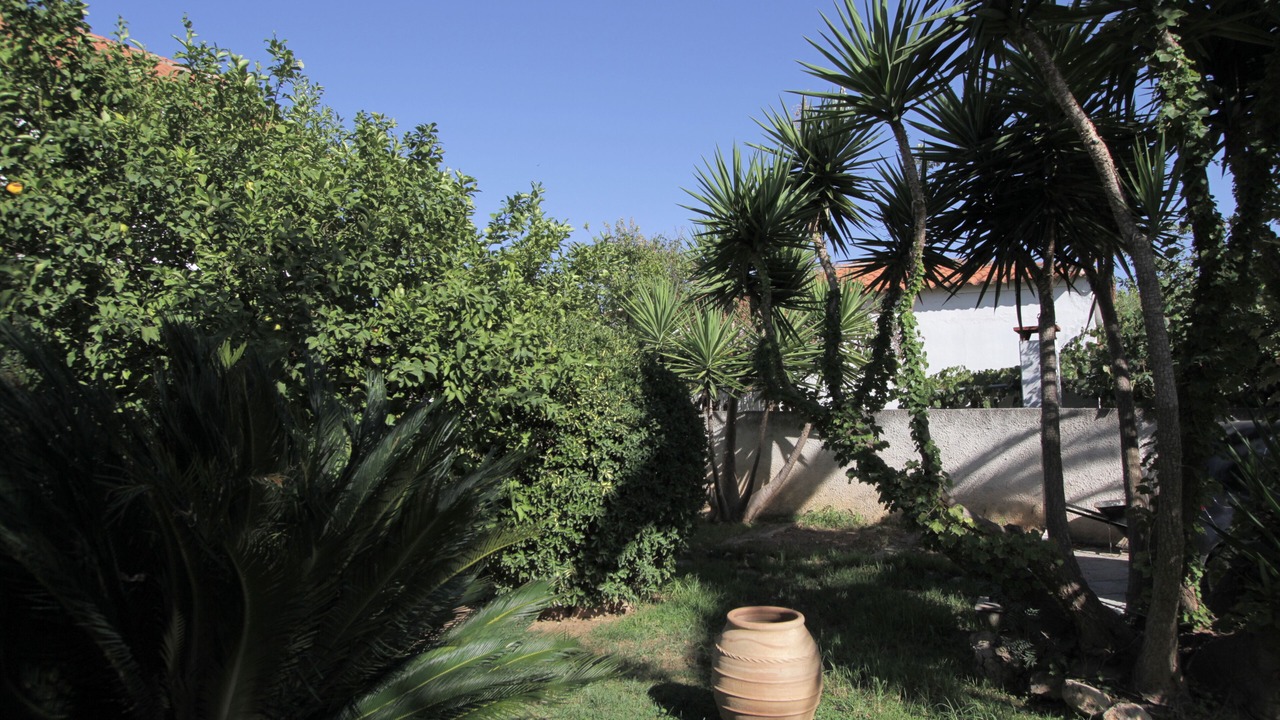 Photo of Outdoor in Spata-Artemida